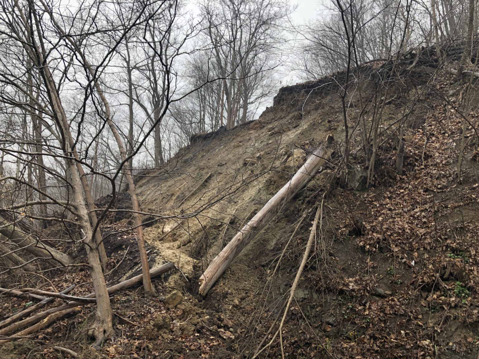 Photos Mead Township